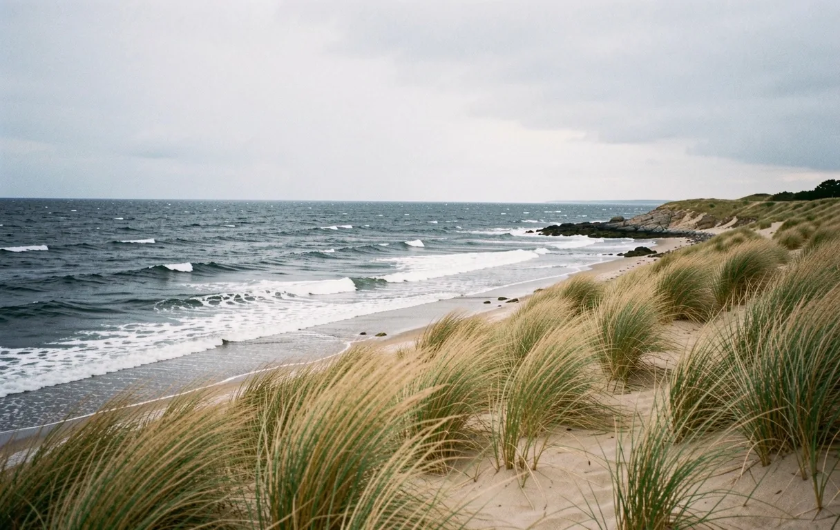 Danish Coastline